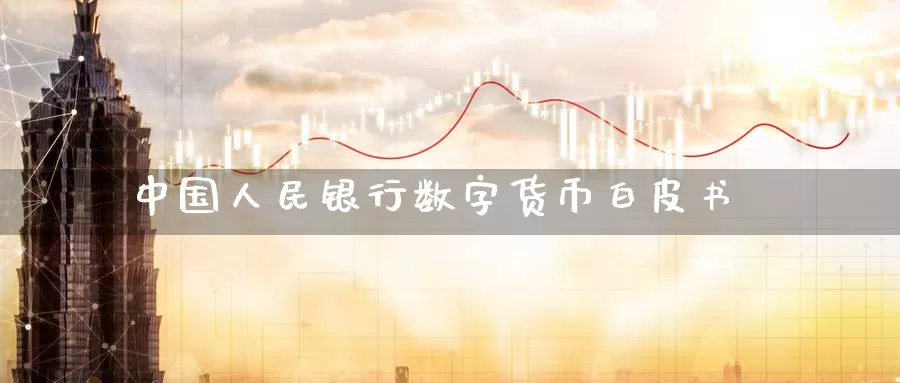 中国**银行数字货币***