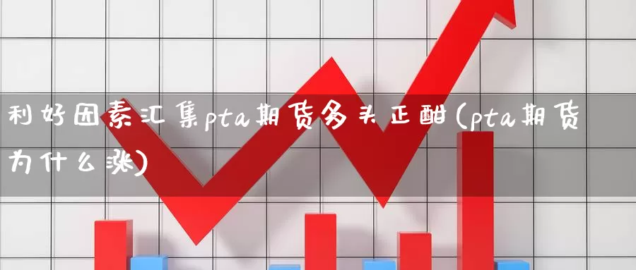 利好因素汇集pta期货多头正酣(pta期货为什么涨)