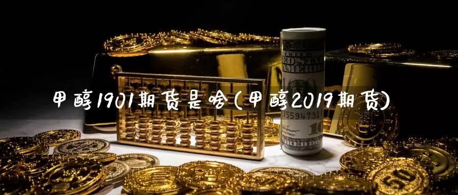 甲醇1901期货是啥(甲醇2019期货)