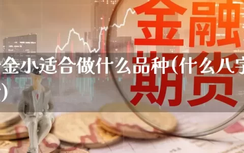 期货资金小适合做什么品种(什么八字适合做期货)