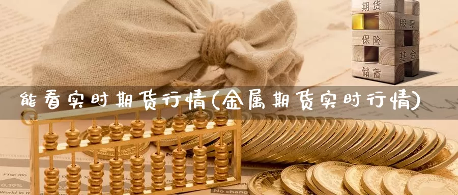 能看实时期货行情(金属期货实时行情)