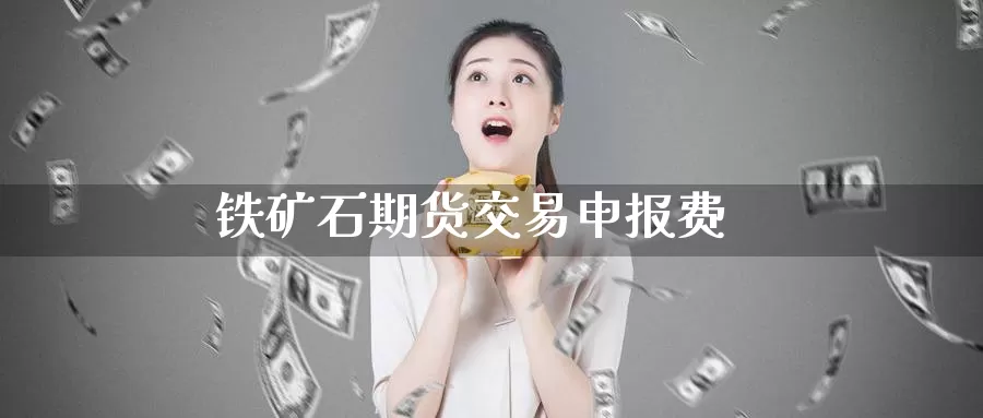 铁矿石期货交易申报费