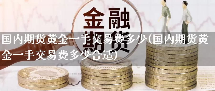 国内期货黄金一手交易费多少(国内期货黄金一手交易费多少合适)