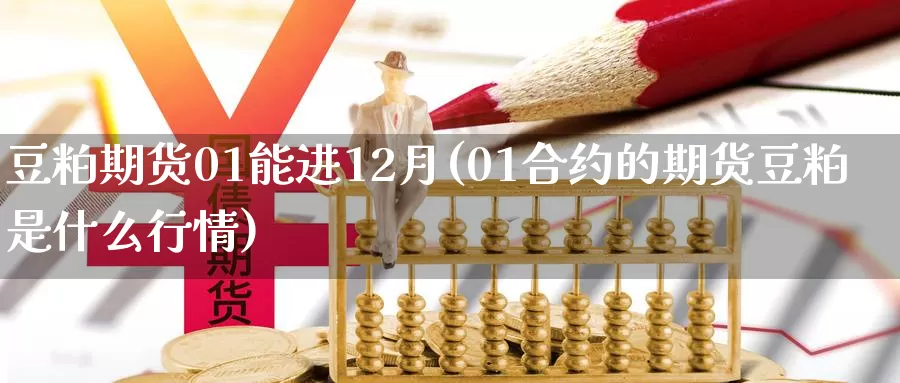 豆粕期货01能进12月(01合约的期货豆粕是什么行情)