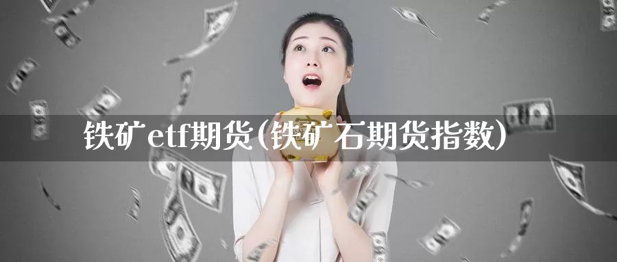 铁矿etf期货(铁矿石期货指数)