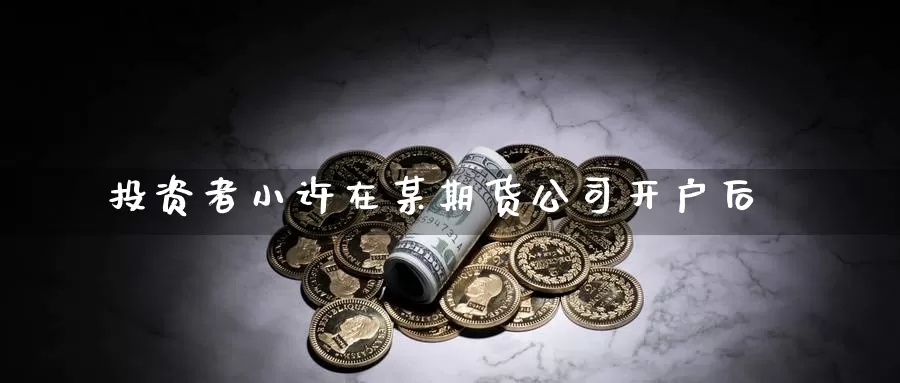 投资者小许在某期货公司开户后