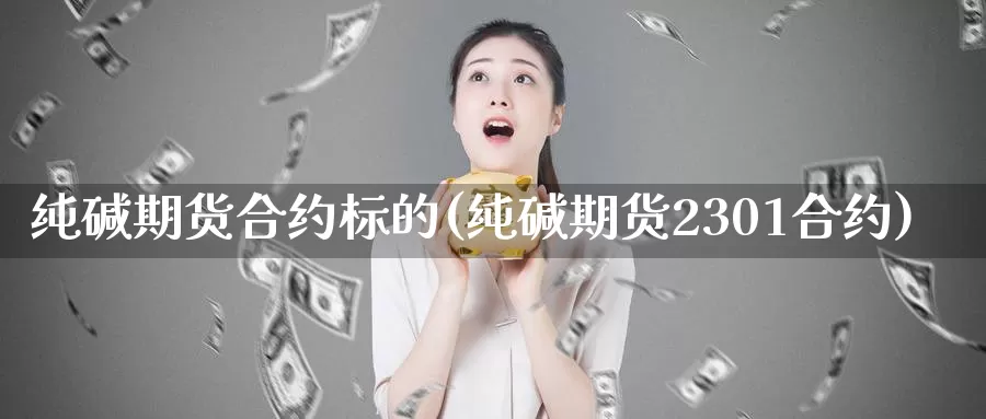 纯碱期货合约标的(纯碱期货2301合约)